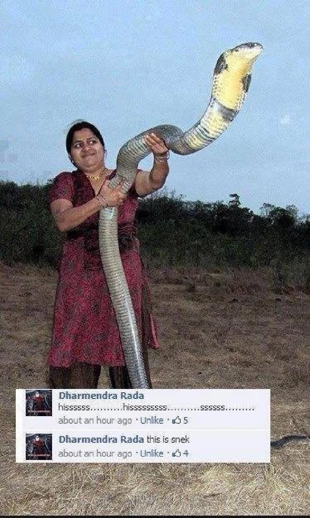 Featured image of post Снек