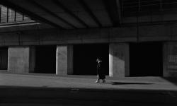 Featured image of post Black & White - 2