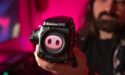 Featured image of post Mamiya 645 Pro Repairment
